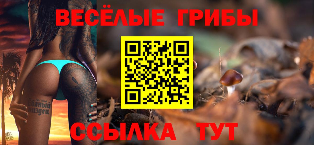 Псилоцибиновые грибы MAGIC MUSHROOMS Унеча